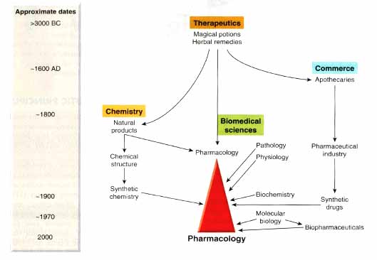 perkembangan_pharm.jpg